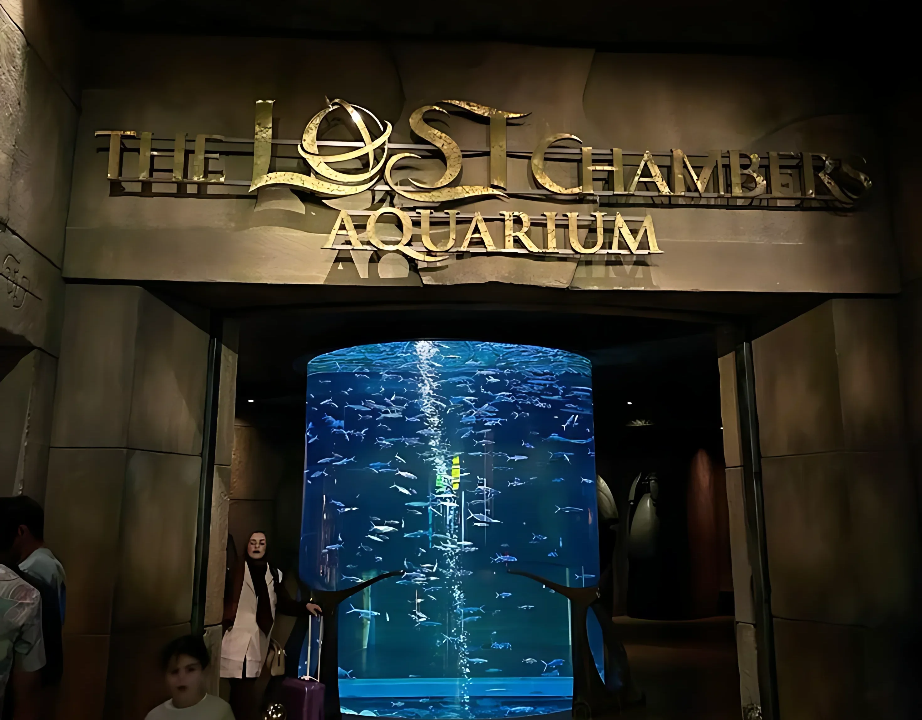 The Lost Chambers Aquarium - Image 2