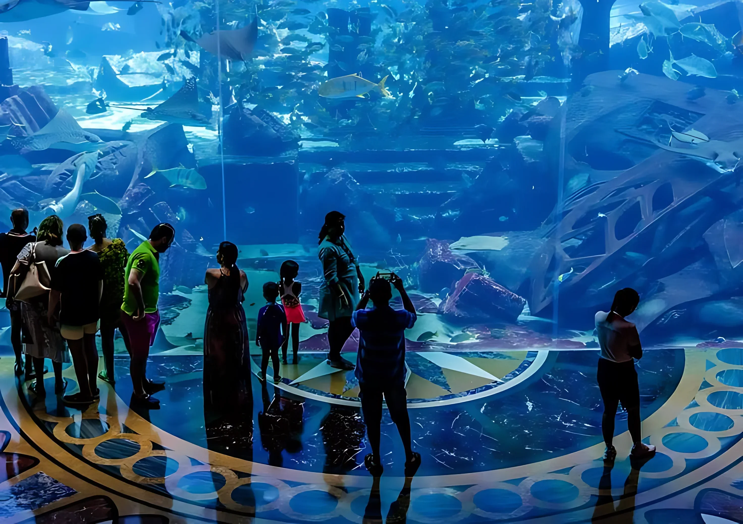 The Lost Chambers Aquarium - Image 3