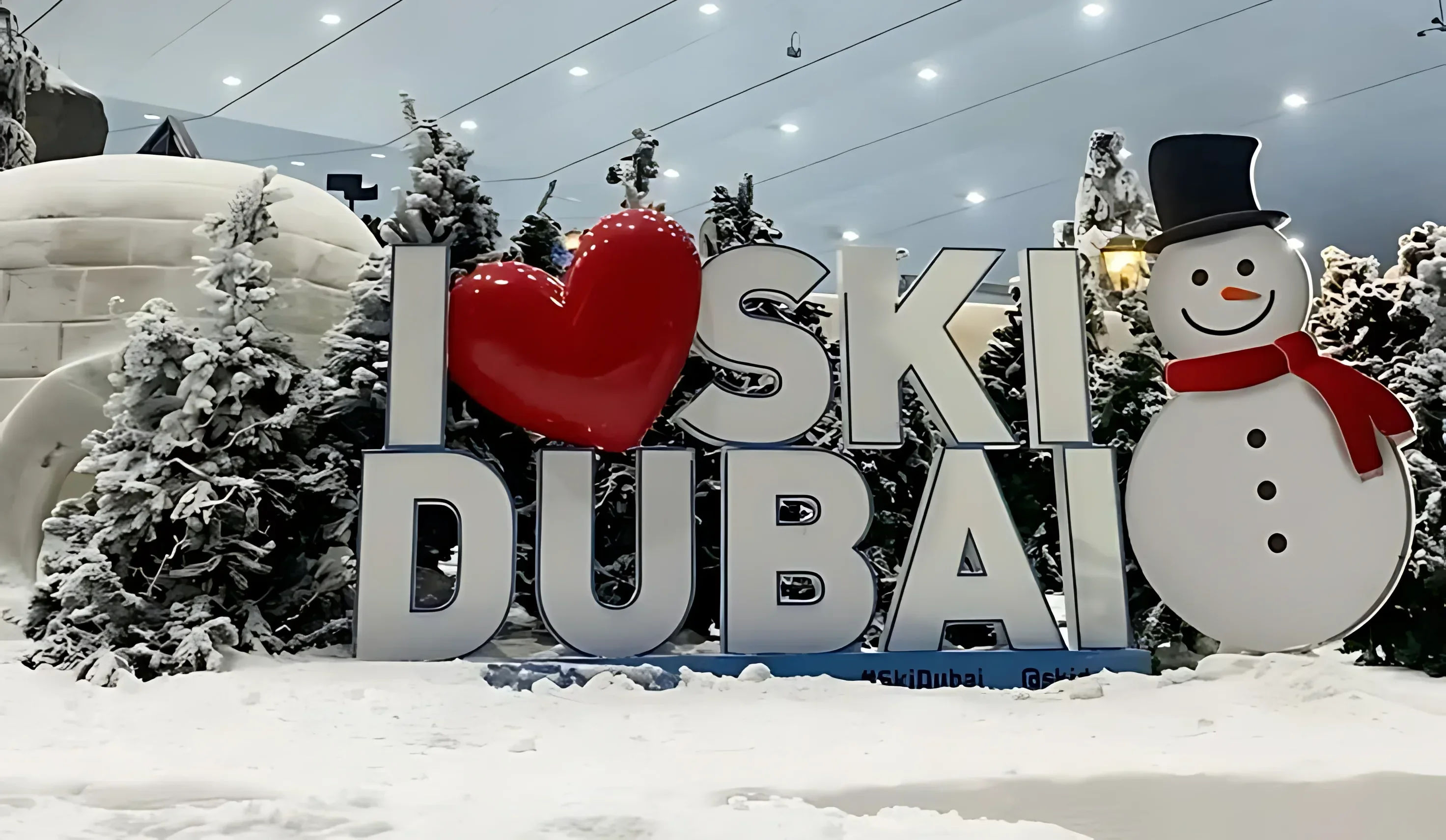 Ski Dubai - Image 2